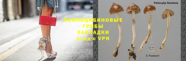 трава Алексеевка
