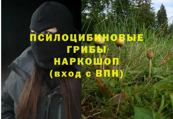 Альфа ПВП Алзамай