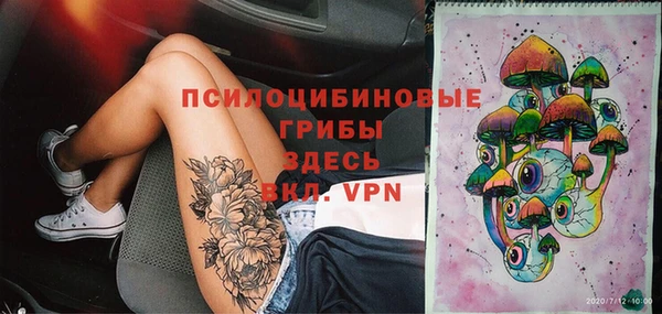Альфа ПВП Алзамай