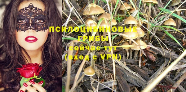 трава Алексеевка
