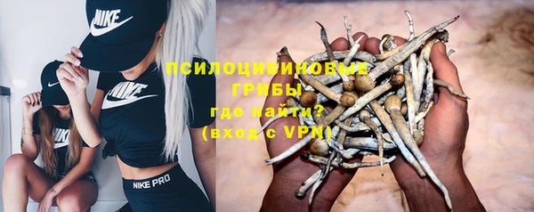Альфа ПВП Алзамай